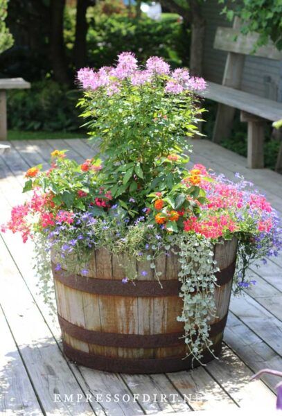 Barrel Planter Ideas Creative Ways to Utilize Barrels for Planting