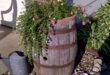 Barrel Planter Ideas