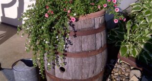 Barrel Planter Ideas