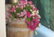 Barrel Planter Ideas