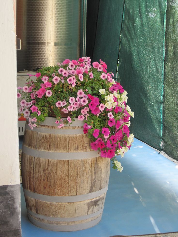 Barrel Planter Ideas Unique and Creative Ways to Use Barrels for Planting