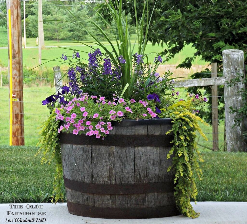 Barrel Planter Ideas