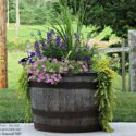 Barrel Planter Ideas