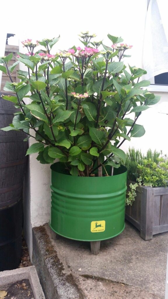 Barrel Planter Ideas