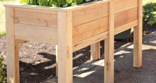 Cedar Planter Boxes