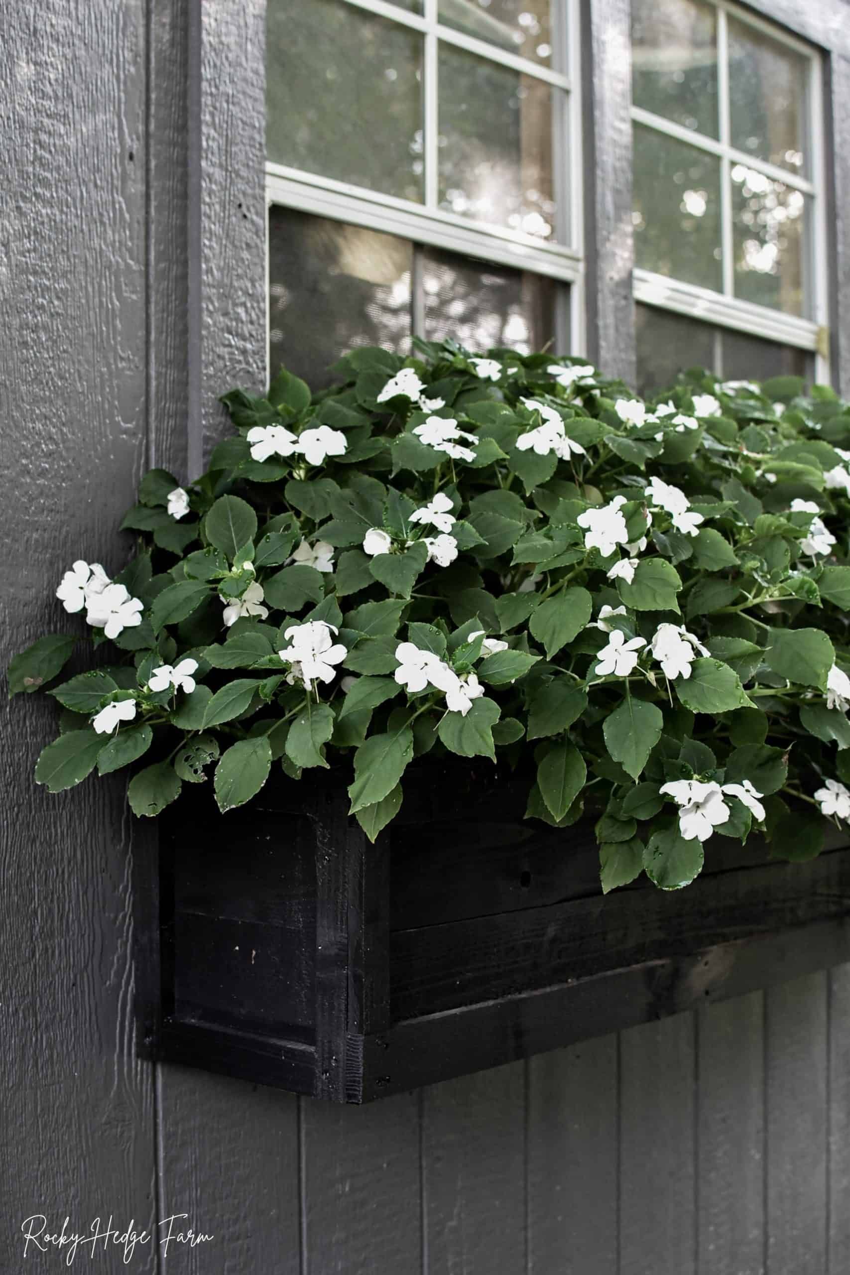 Cedar Planter Boxes Beautiful Wooden Planters for Your Garden