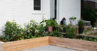 Cedar Planter Boxes