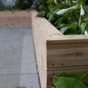 Cedar Planter Boxes