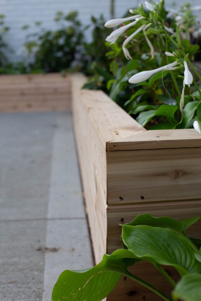 Cedar Planter Boxes