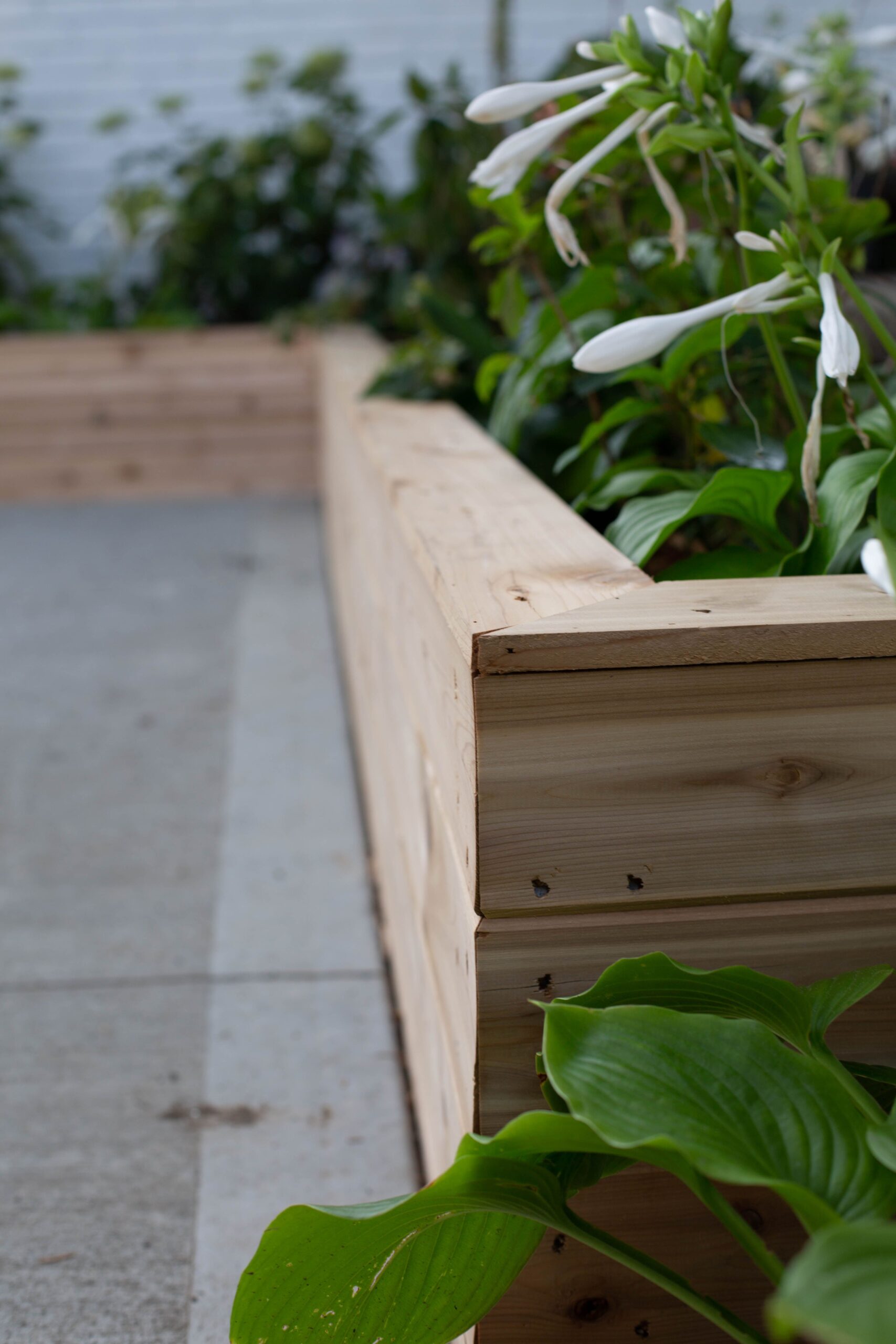Cedar Planter Boxes The Perfect Addition to Your Garden