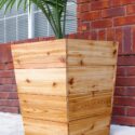 Cedar Planter Boxes