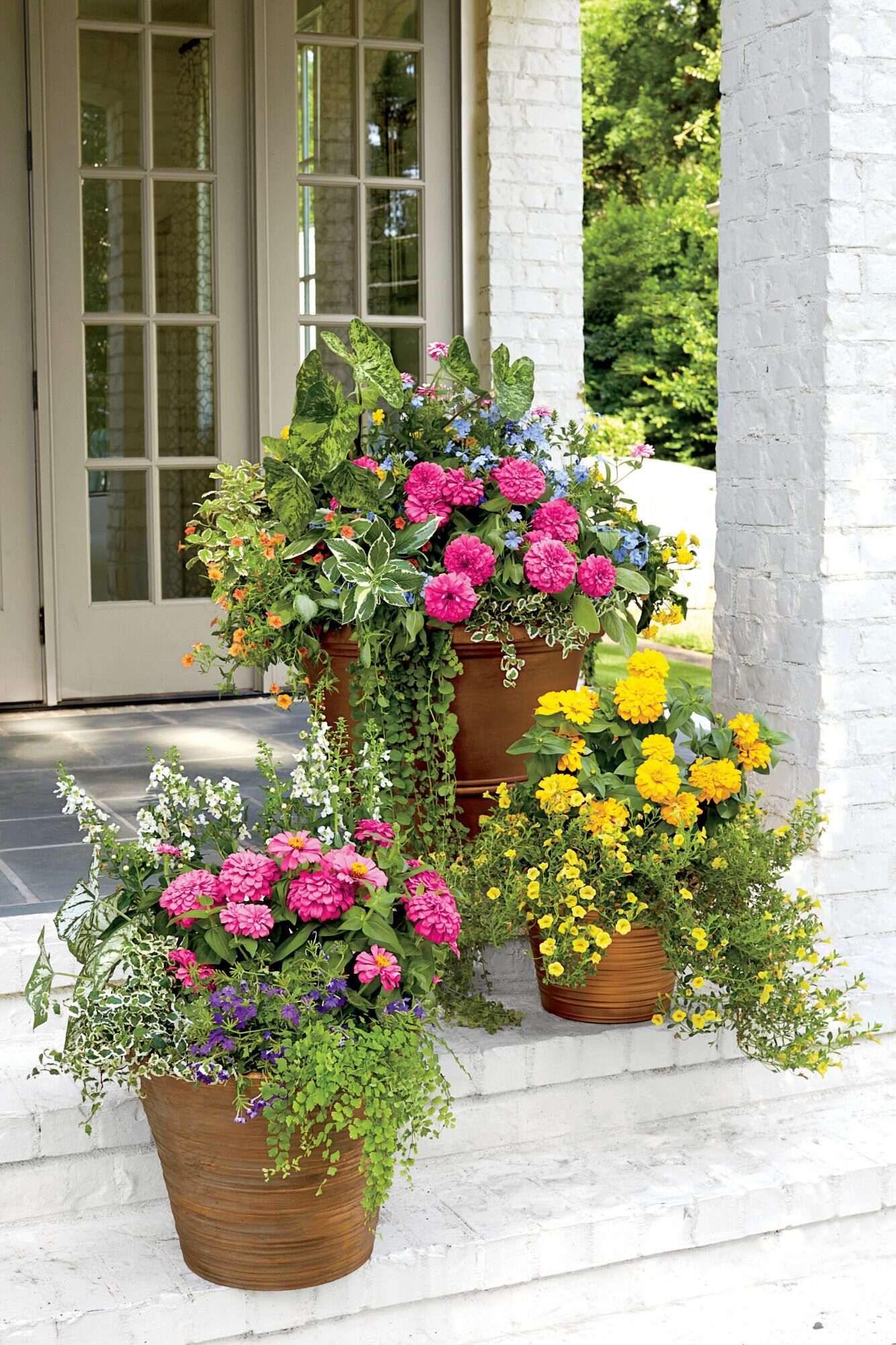 Container Flowers The Beauty of Planting Flowers in Small Spaces