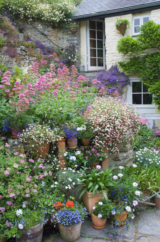 Container Flowers