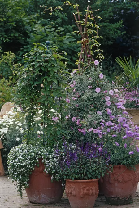 Container Gardening