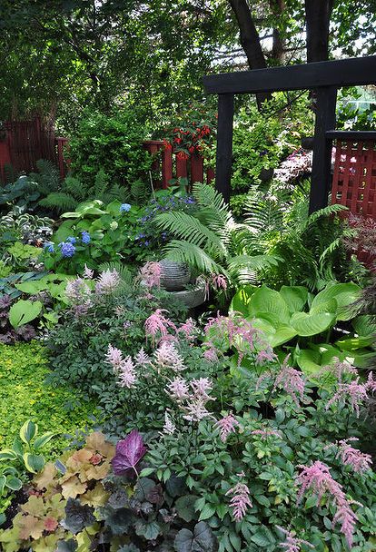 Container Gardening Flowers