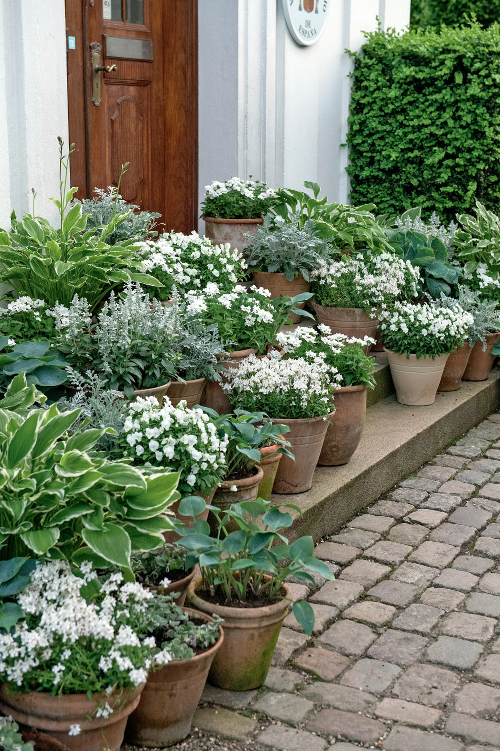 Container Gardening The Perfect Option for Limited Space Gardens