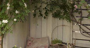 Corner Garden Ideas Backyards