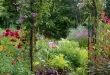 Cottage Garden