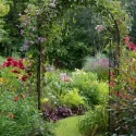 Cottage Garden