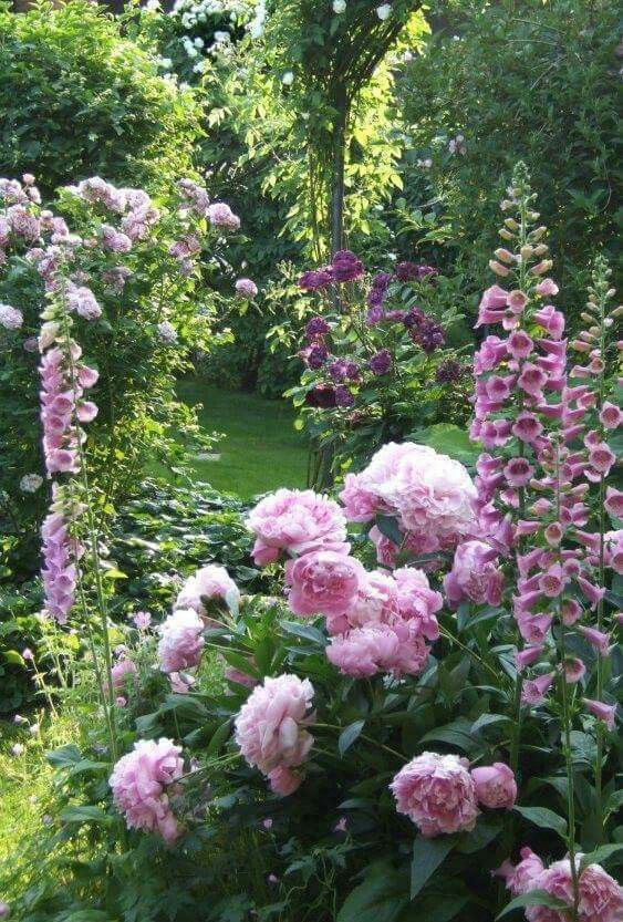 Cottage Garden Beautiful Flowers and Plants for a Charming Outdoor Space