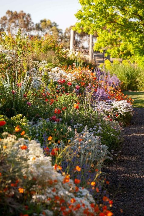 Cottage Garden Blooms with Beauty