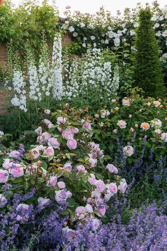 Cottage Garden Charming Blooms: A Guide to Creating a Beautiful Garden Retreat in Your Backyard