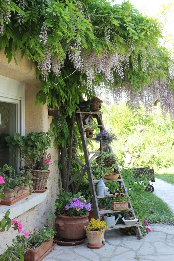 Cottage Garden The Charm of Old-Fashioned Garden Design