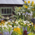 Cottage Garden