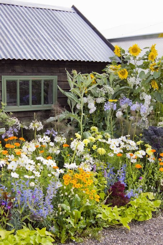 Cottage Garden The Perfect Blend of Beauty and Charm