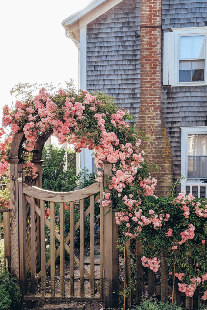 Cottage Garden