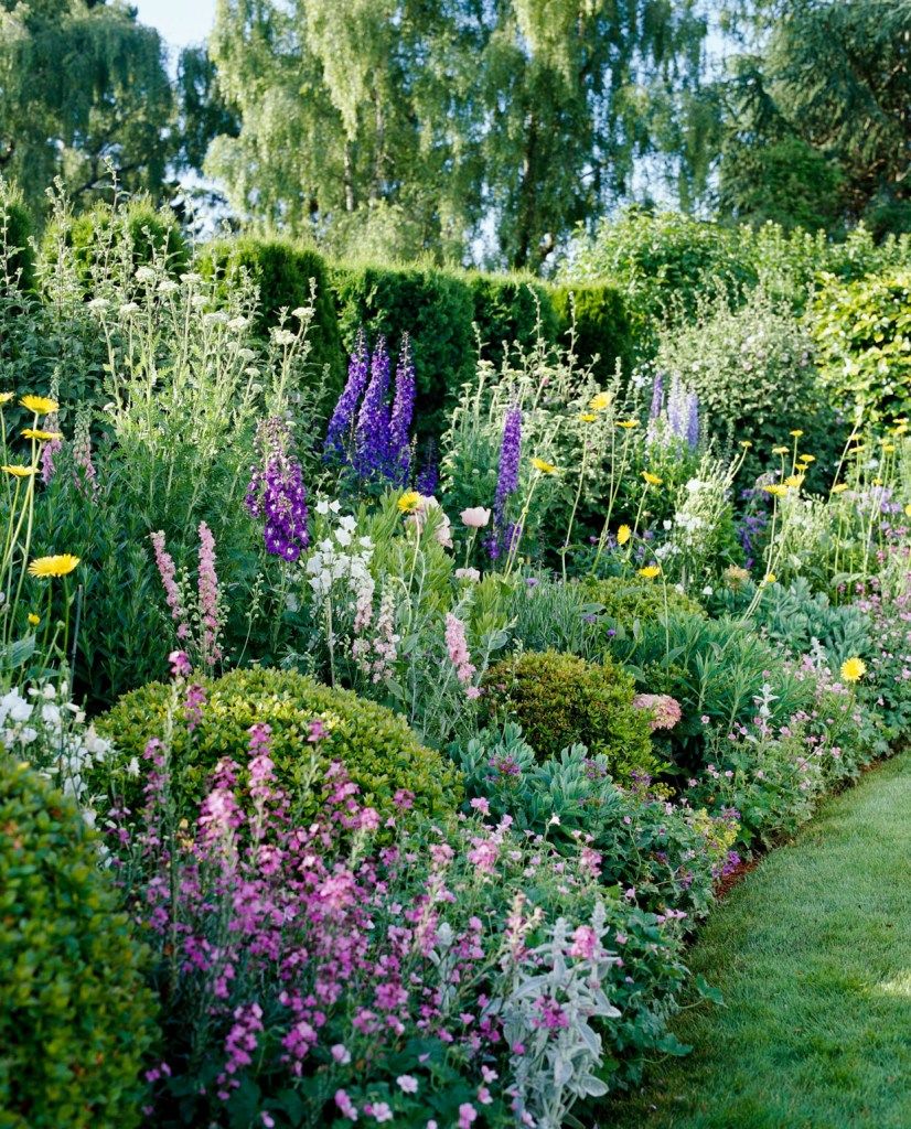 Creating a Charming Cottage Garden: Tips and Inspiration for a Quaint Outdoor Oasis