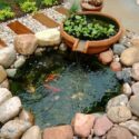 Diy Ponds Backyard Simple