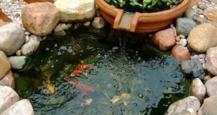 Diy Ponds Backyard Simple