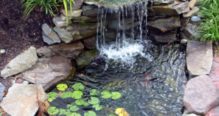 Diy Ponds Backyard Simple