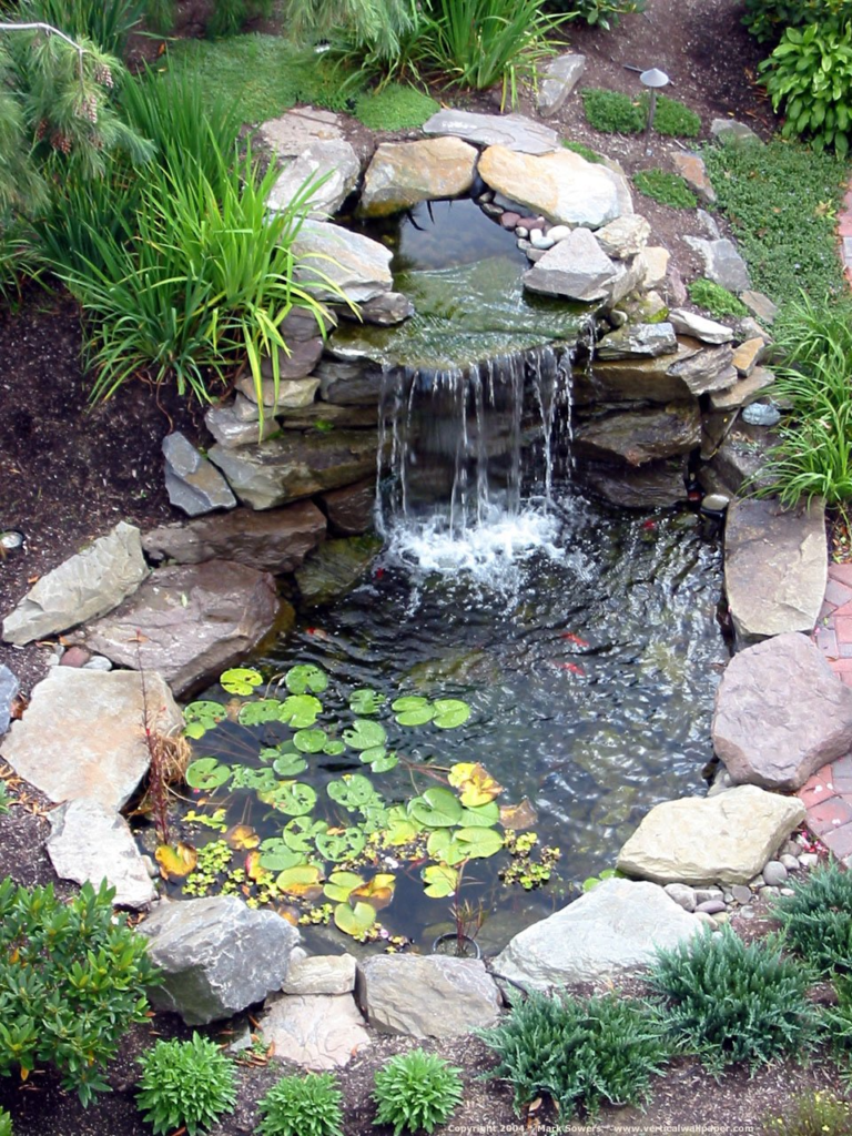 Diy Ponds Backyard Simple