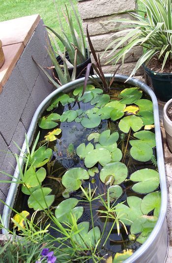Diy Ponds Backyard Simple Easy Ways to Create Beautiful Backyard Ponds on Your Own