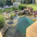 Diy Ponds Backyard Simple