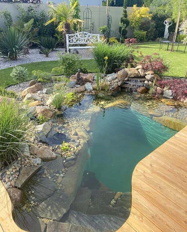 Diy Ponds Backyard Simple Step-by-Step Guide