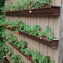 Diy Raised Garden Bed