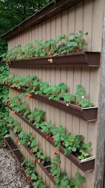 Diy Raised Garden Bed Ideas for Your Backyard