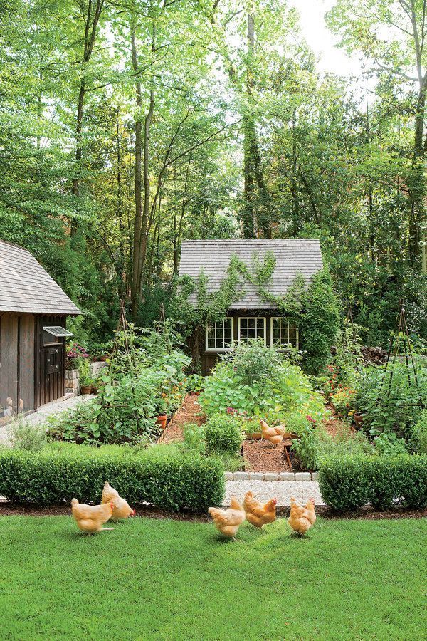 Dream Garden Awaits: The Ultimate Guide to Creating Your Own Backyard Oasis