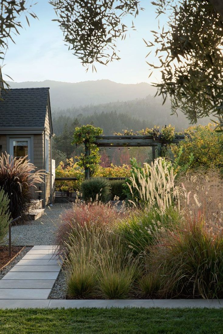 Dream Garden Awaits: Transform Your Backyard Into a Lush Oasis