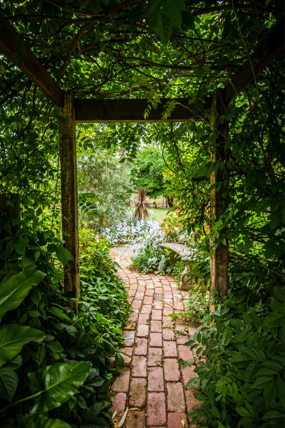 Dream Garden a Beautiful Oasis in Your Own Backyard