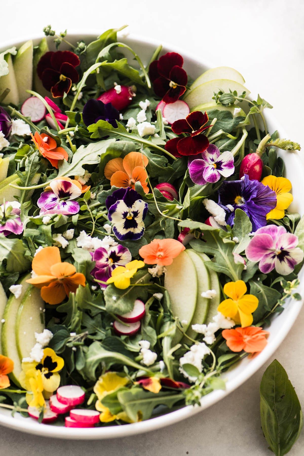 Edible Flowers A Guide to Cooking with Floral Ingredients