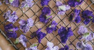 Edible Flowers