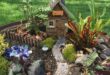 Fairy Garden Ideas