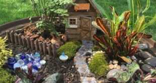 Fairy Garden Ideas