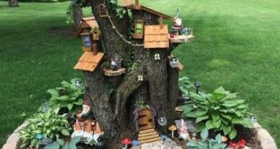 Fairy Garden Ideas