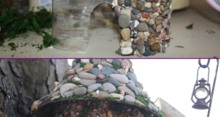 Fairy Garden Ideas