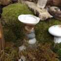 Fairy Garden Ideas